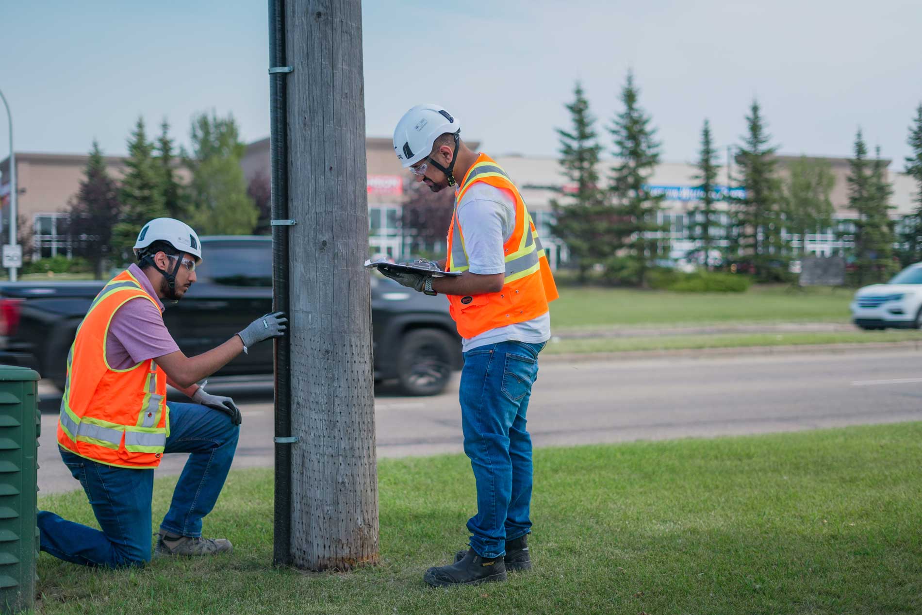 Workers inspecting utility pole near roadside.
